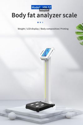 2023年 設計 体重と体構成を測定するためのデジタル体脂肪分析機