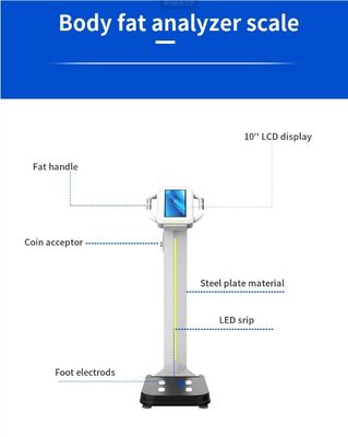 2023年 設計 体重と体構成を測定するためのデジタル体脂肪分析機