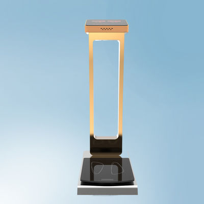 パーソナライズされたODMサポートの300kg容量の荷物秤