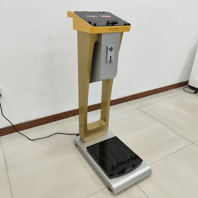 パーソナライズされたODMサポートの300kg容量の荷物秤