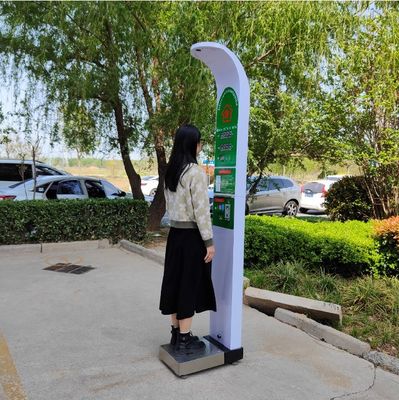硬貨操作の重み機能と鉄鋼構造のBmiスケール