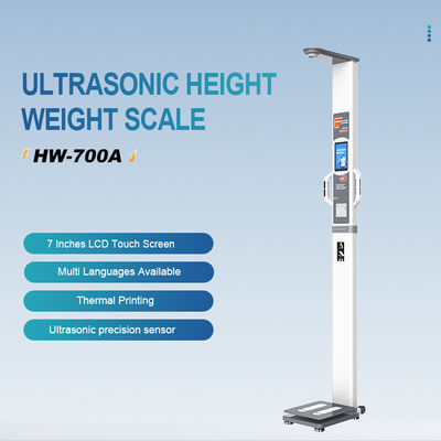LCDディスプレイ 体脂肪分析分析器 総合的な体構成評価