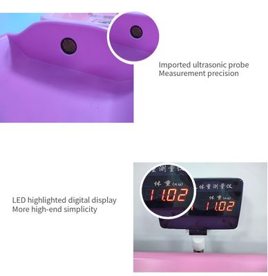 LEDデジタルディスプレイスタイル ABSステンレス鋼構造の赤ちゃん体重スケール