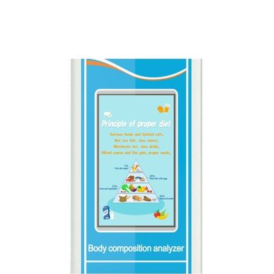CE ISO9001 認定 体重と体質指数分析器のジムの高さスケール